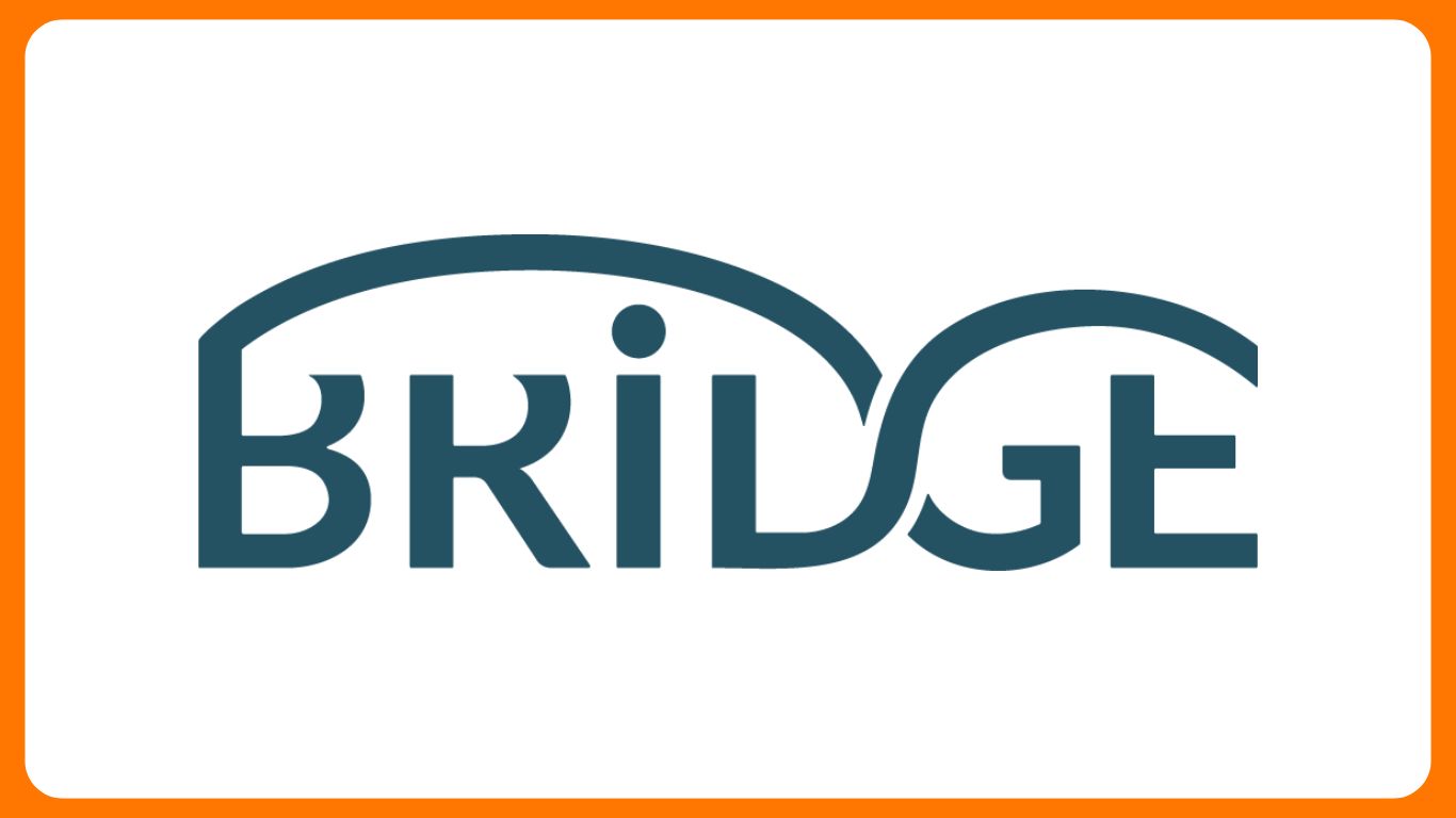 Logo der Bridge Studie auf weißem Hintergrund mit orangenem Rahmen