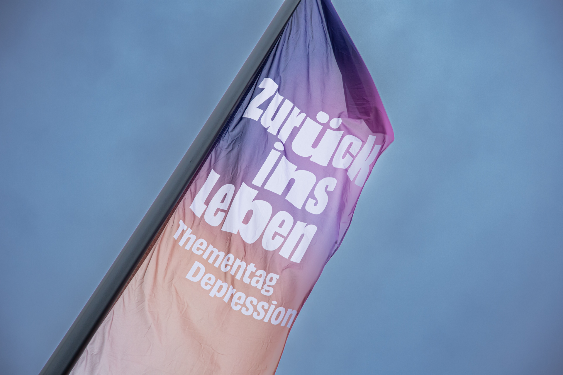 Logo des Thementag Depression 2025 auf einer Flagge