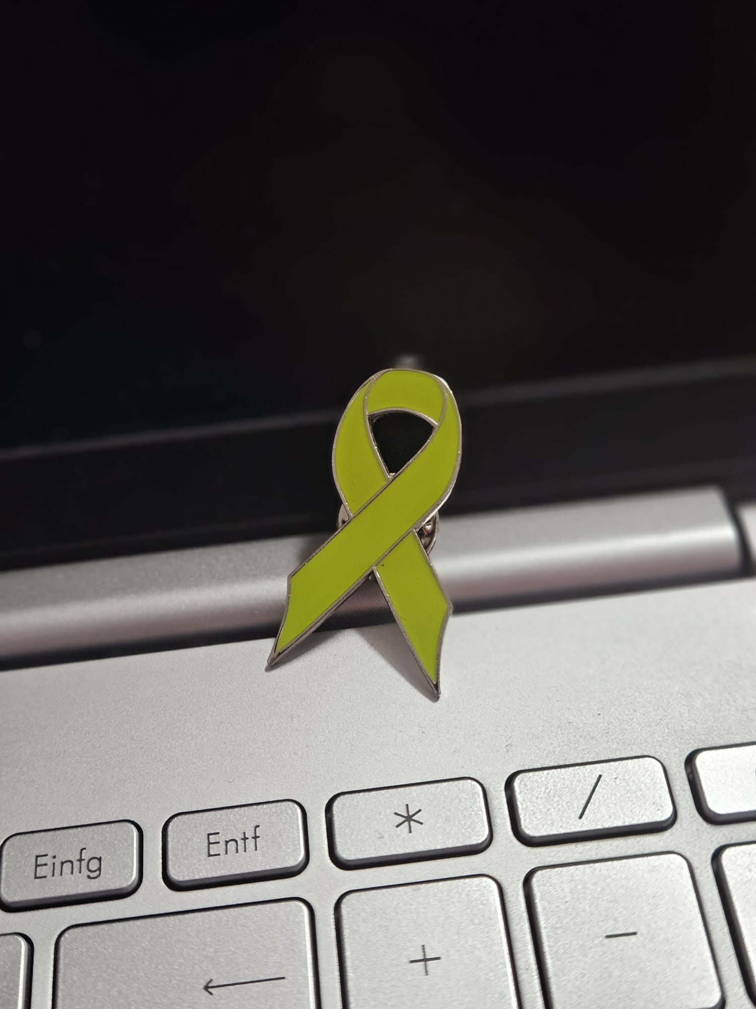 Beispielbild: Grüne Schleife auf Laptoo